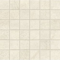 Stagioni - 5x5 Mosaic